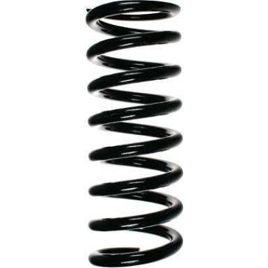 SPIDAN Fahrwerksfeder 49384