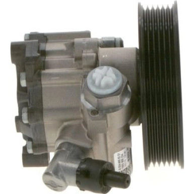 K S00 000 691 Hydraulikpumpe, Lenkung K S00 000 691 Hydraulikpumpe, Lenkung