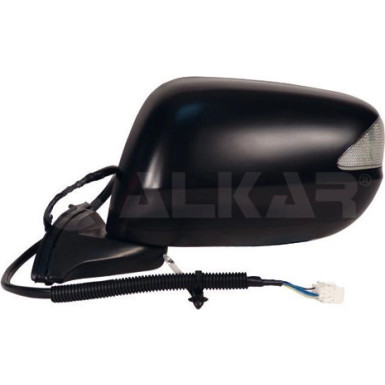 Außenspiegel | 6141946