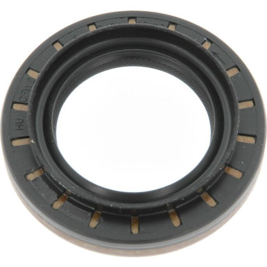Wellendichtring, Differential | 01037192B