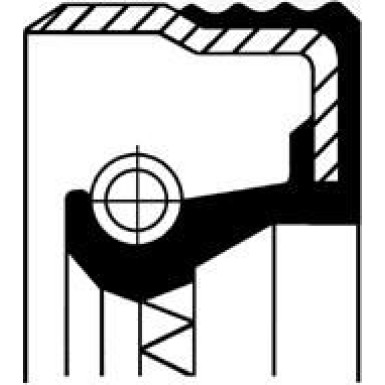 12015250B Wellendichtring, Differential