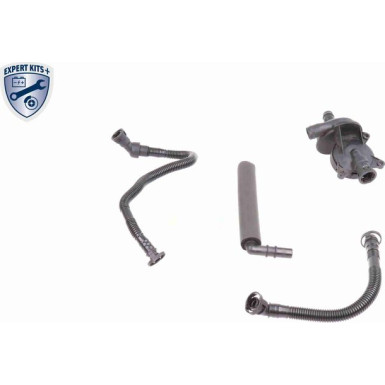 VAICO Reparatursatz, Kurbelgehäuseentlüftung V20-1873