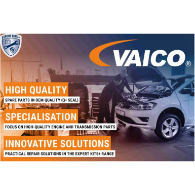VAICO Ölfilter V10-1650