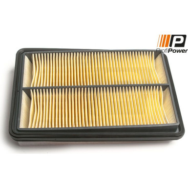 PROFIPOWER Luftfilter | 2F0242