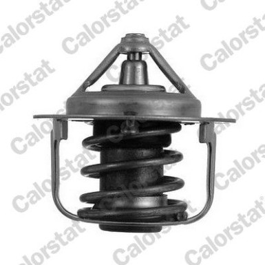 Thermostat, Kühlmittel | TH5076.82J