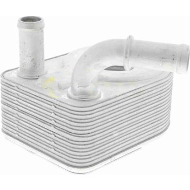 VEMO Ölkühler, Motoröl V25-60-0027