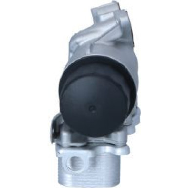 Ölkühler, Motor“L | 31351