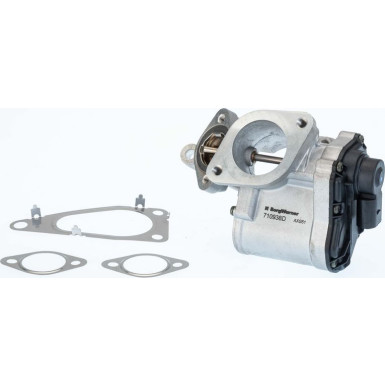 BorgWarner (Wahler) AGR-Ventil BorgWarner (Wahler) AGR-Ventil