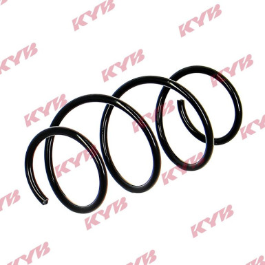 Fahrwerksfeder | RA1569 Fahrwerksfeder | RA1569