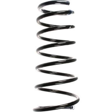 SPIDAN Fahrwerksfeder 49648