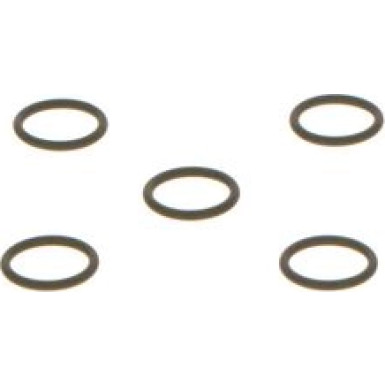 O-Ring | Diverse | F 01M 100 389