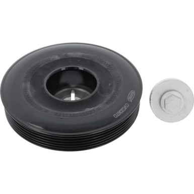 CORTECO Samen 49418960