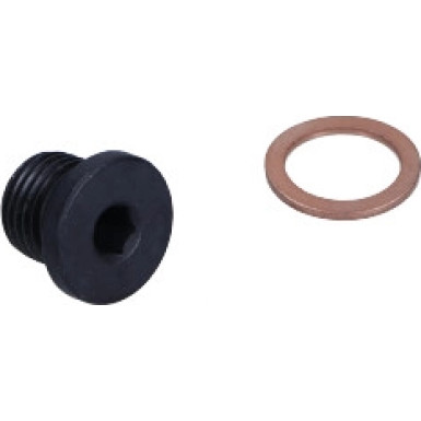 171173 Verschlussschraube, Ölwanne