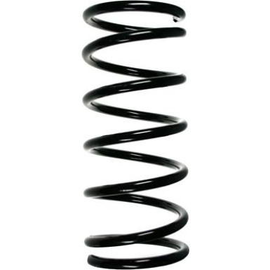 SPIDAN Fahrwerksfeder 49593