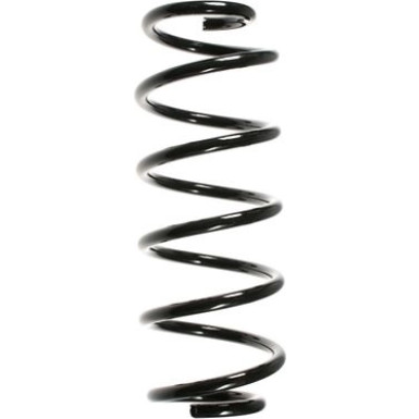 SPIDAN Fahrwerksfeder 48474