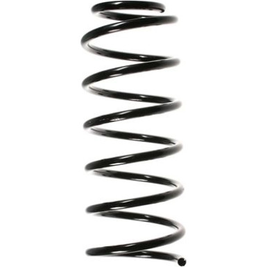 SPIDAN Fahrwerksfeder 48750