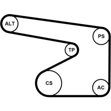 Keilrippenriemensatz | 5PK1355K1 Keilrippenriemensatz | 5PK1355K1