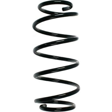 SPIDAN Fahrwerksfeder 48713