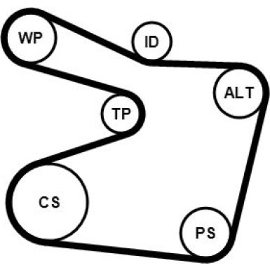 Continental CTAM Satz Gürtel 6PK1555K1