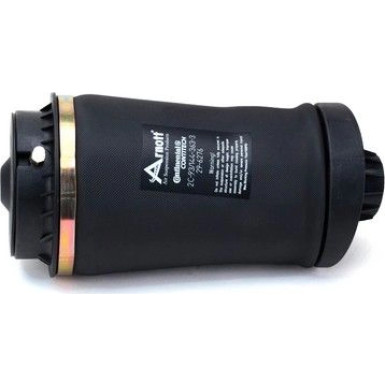 ARNOTT Fahrwerksfeder ARNOTT Fahrwerksfeder