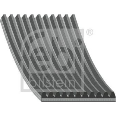 FEBI BILSTEIN Rillenriemen