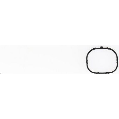 450384P Dichtung, Ansaugkrümmer