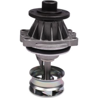 HEPU Wasserpumpe P429