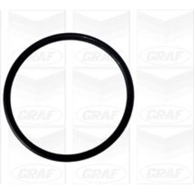 PA 875 Wasserpumpe | SEAT,SKODA,VW Polo 1.9SDI | PA875