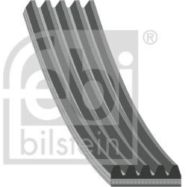 FEBI BILSTEIN Rillenriemen | 28856