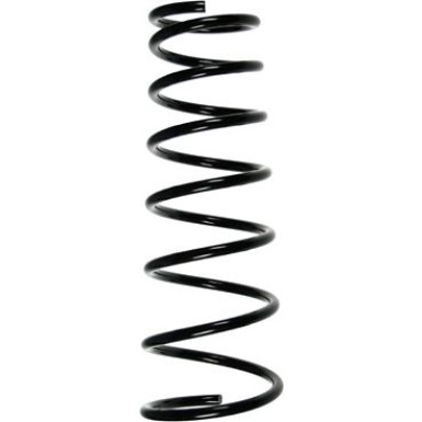 SPIDAN Fahrwerksfeder | 55203