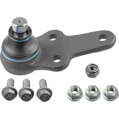 Gelenk - Radaufhängung Ford P. Fiesta | 17786 03 Gelenk - Radaufhängung Ford P. Fiesta | 17786 03