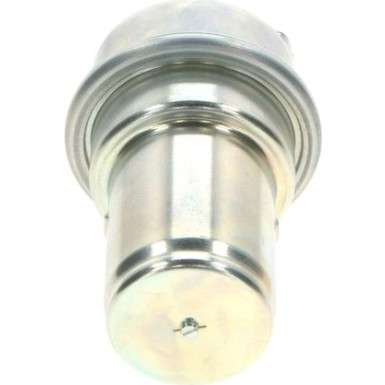 0 438 170 040 Druckspeicher, Kraftstoffdruck 0 438 170 040 Druckspeicher, Kraftstoffdruck