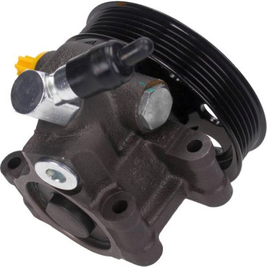 48-0096 Hydraulikpumpe, Lenkung 48-0096 Hydraulikpumpe, Lenkung