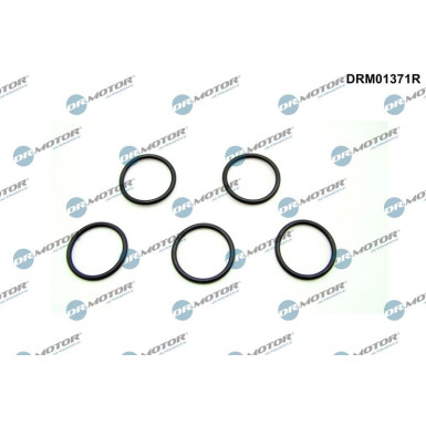 Dichtring, Ílablassschraube | DRM01371R
