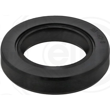 Dichtring | 038.164 Dichtring | 038.164