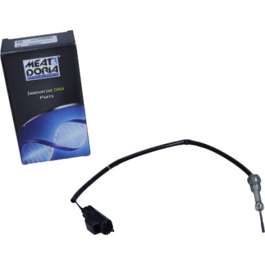 Sensor, Abgastemperatur | 12432