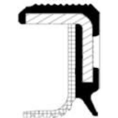 19036663B Wellendichtring, Kurbelwelle