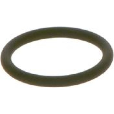 O-Ring | Diverse | F 00R J00 534