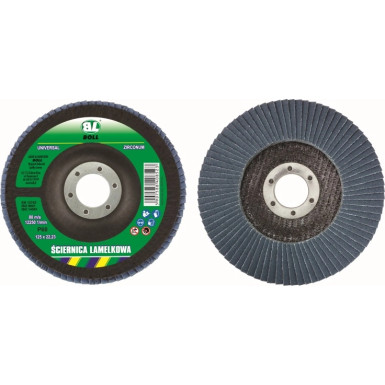 050126 Boll Klappenscheibe 125x22-95A-P60