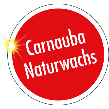 Sonax High Speed Wax 500ml HighSpeedWax 02882000