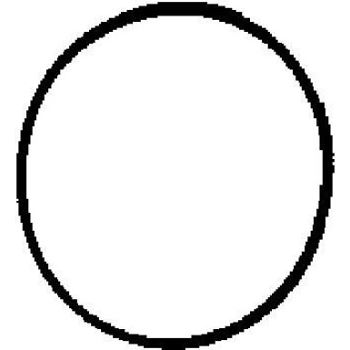 450562H Dichtung, Ansaugkrümmer