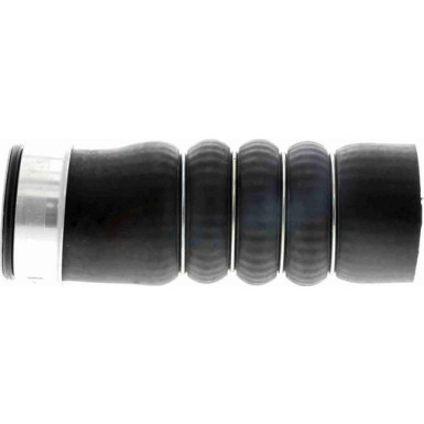 VAICO Ladeluftschlauch V10-2872