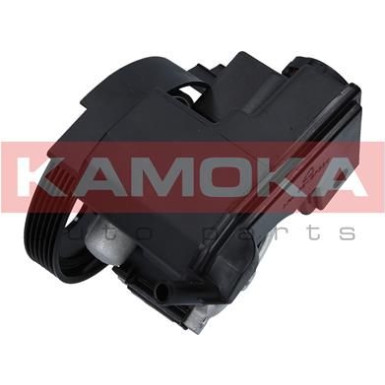 KAMOKA Hydraulikpumpe, Lenkung | PP168