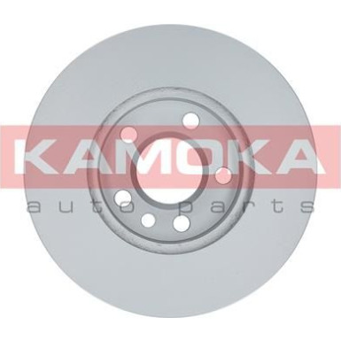 KAMOKA Bremsscheibe | 1031691