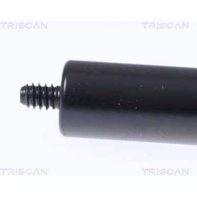 GASFEDER, MOTORHAUBE 871023135