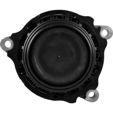 TEDGUM_TD Lagerung, Motor TEDGUM_TD Lagerung, Motor