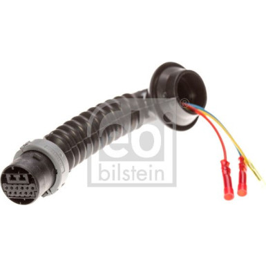 Kette, Ölpumpenantrieb | 25388