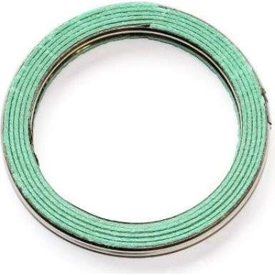 Dichtring | 828.246