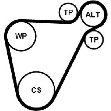 CONTINENTAL CTAM Keilrippenriemensatz 8PK954 EXTRA K1