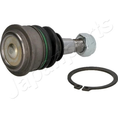 Gelenk - Radaufhängung Nissan P. Pixo/Alto | BJ-803 Gelenk - Radaufhängung Nissan P. Pixo/Alto | BJ-803